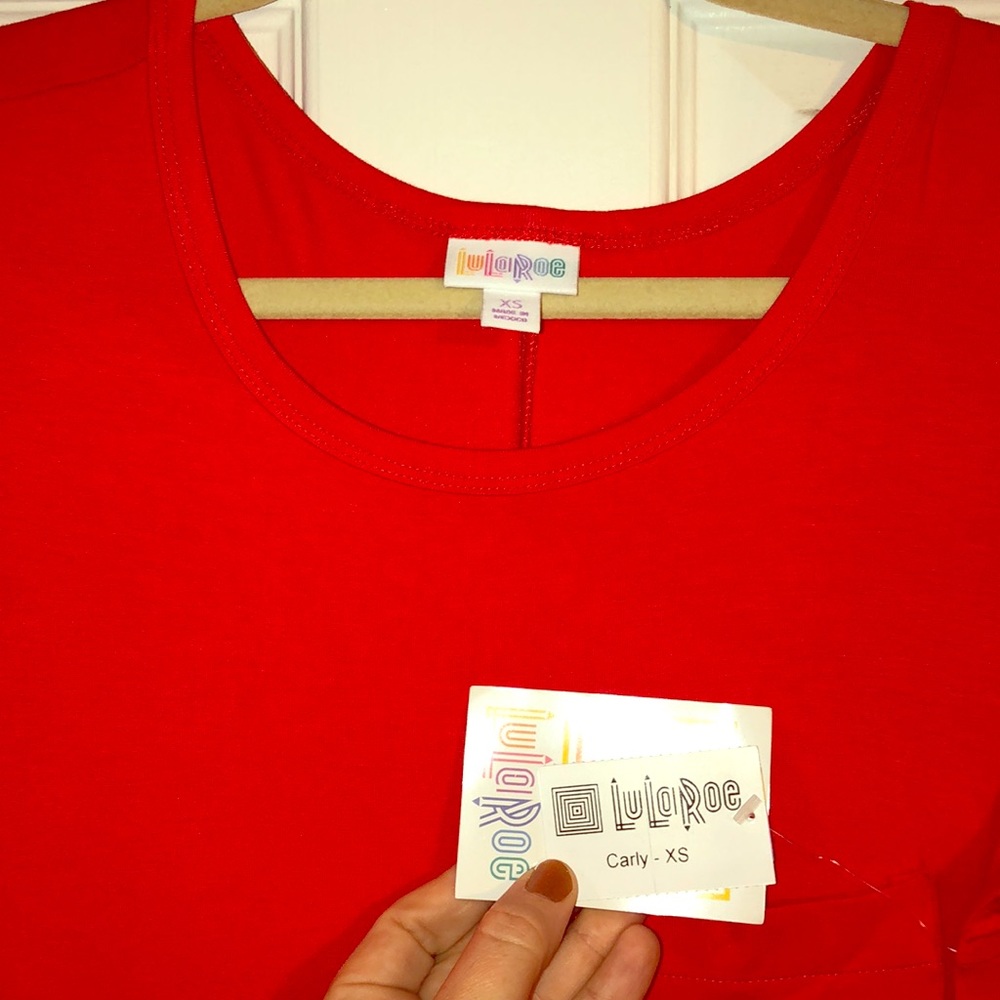 LuLaRoe Carly Dress